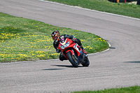 enduro-digital-images;event-digital-images;eventdigitalimages;lydden-hill;lydden-no-limits-trackday;lydden-photographs;lydden-trackday-photographs;no-limits-trackdays;peter-wileman-photography;racing-digital-images;trackday-digital-images;trackday-photos